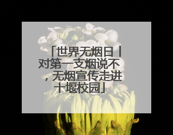 世界无烟日丨对第一支烟说不，无烟宣传走进十堰校园