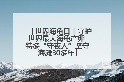 世界海龟日丨守护世界最大海龟产卵 特多“守夜人”坚守海滩30多年