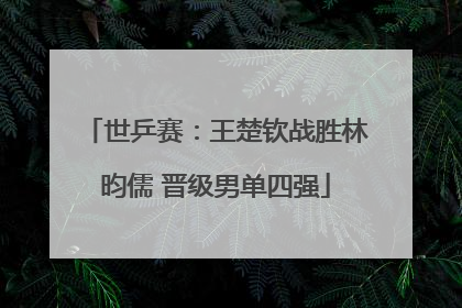 世乒赛：王楚钦战胜林昀儒 晋级男单四强