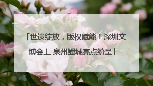 世遗绽放，版权赋能！深圳文博会上 泉州鲤城亮点纷呈