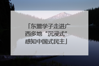 东盟学子走进广西多地“沉浸式”感知中国式民主