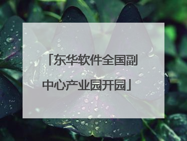 东华软件全国副中心产业园开园