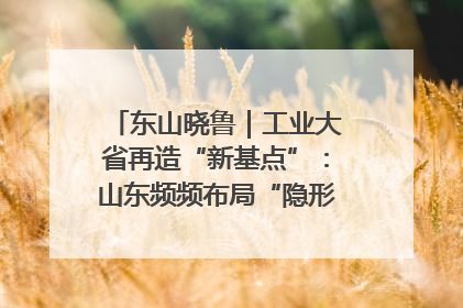 东山晓鲁｜工业大省再造“新基点”：山东频频布局“隐形冠军”背后