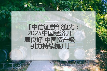 中信证券邹迎光：2025中国经济开局良好 中国资产吸引力持续提升