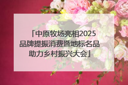 中原牧场亮相2025品牌提振消费暨地标名品助力乡村振兴大会