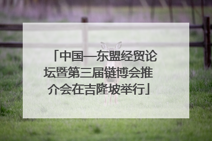 中国—东盟经贸论坛暨第三届链博会推介会在吉隆坡举行
