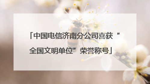 中国电信济南分公司喜获“全国文明单位”荣誉称号