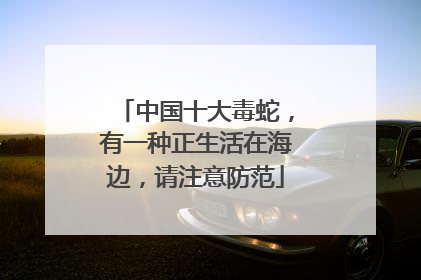 中国十大毒蛇，有一种正生活在海边，请注意防范