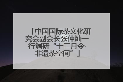 中国国际茶文化研究会副会长张仲灿一行调研“十二月令·非遗茶空间”