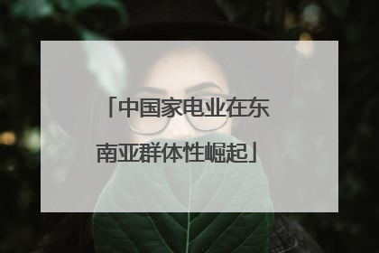 中国家电业在东南亚群体性崛起