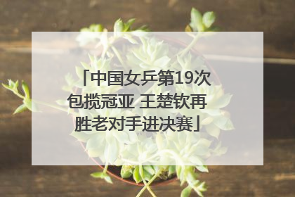 中国女乒第19次包揽冠亚 王楚钦再胜老对手进决赛