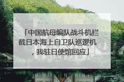 中国航母编队战斗机拦截日本海上自卫队巡逻机，我驻日使馆回应