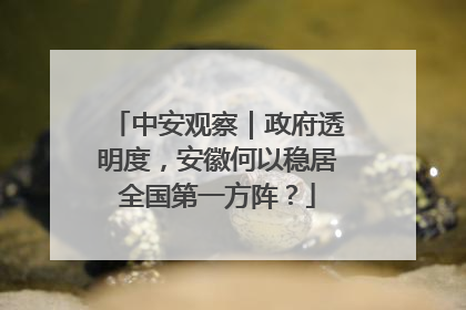 中安观察｜政府透明度，安徽何以稳居全国第一方阵？