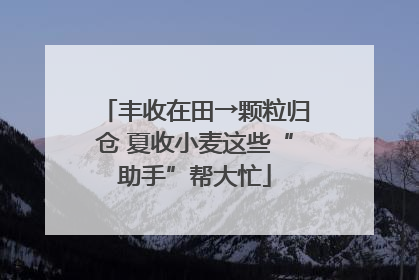 丰收在田→颗粒归仓 夏收小麦这些“助手”帮大忙