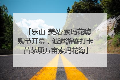 乐山-美姑·索玛花嗨购节开幕，诚邀游客打卡黄茅埂万亩索玛花海