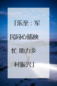 乐至：军民同心插秧忙 助力乡村振兴