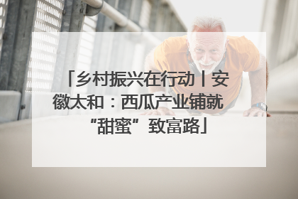 乡村振兴在行动丨安徽太和：西瓜产业铺就“甜蜜”致富路