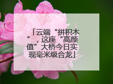 云端“拼积木”，这座“高颜值”大桥今日实现毫米级合龙