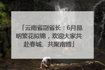 云南省副省长：6月昆明繁花似锦，欢迎大家共赴春城、共聚南博