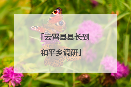 云霄县县长到和平乡调研