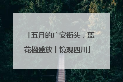 五月的广安街头，蓝花楹盛放丨镜观四川