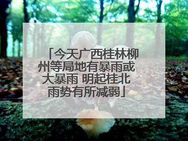 今天广西桂林柳州等局地有暴雨或大暴雨 明起桂北雨势有所减弱