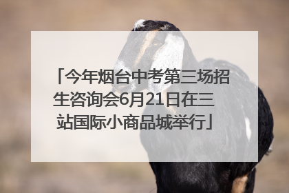 今年烟台中考第三场招生咨询会6月21日在三站国际小商品城举行