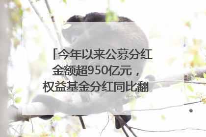今年以来公募分红金额超950亿元，权益基金分红同比翻倍｜招财猫