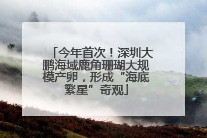 今年首次！深圳大鹏海域鹿角珊瑚大规模产卵，形成“海底繁星”奇观