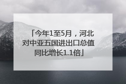 今年1至5月，河北对中亚五国进出口总值同比增长1.1倍