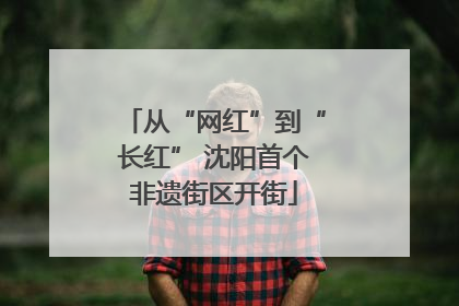 从“网红”到“长红” 沈阳首个非遗街区开街