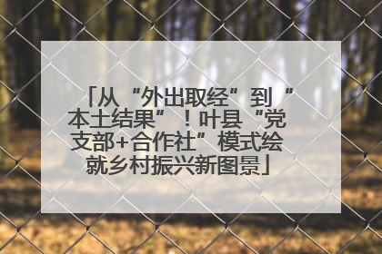 从“外出取经”到“本土结果”！叶县“党支部+合作社”模式绘就乡村振兴新图景
