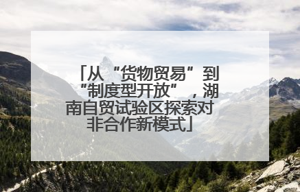 从“货物贸易”到“制度型开放”，湖南自贸试验区探索对非合作新模式