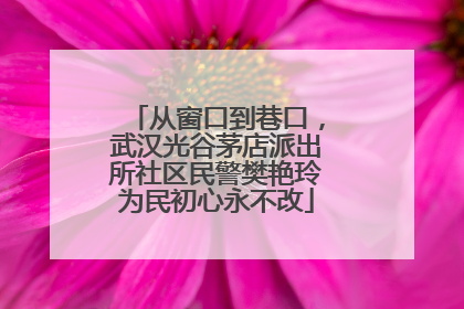 从窗口到巷口，武汉光谷茅店派出所社区民警樊艳玲为民初心永不改