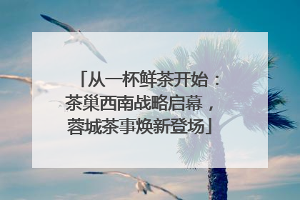 从一杯鲜茶开始：茶巢西南战略启幕，蓉城茶事焕新登场
