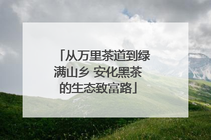 从万里茶道到绿满山乡 安化黑茶的生态致富路