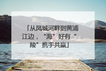 从凤城河畔到黄浦江边，“海”好有“陵”携手共赢