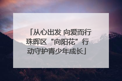从心出发 向爱而行 珠晖区“向阳花”行动守护青少年成长