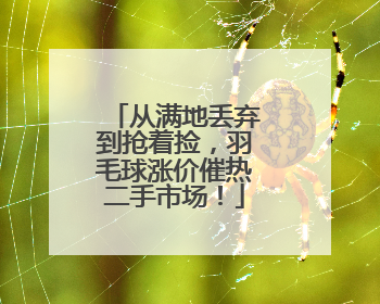 从满地丢弃到抢着捡，羽毛球涨价催热二手市场！