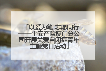 以爱为笔 志愿同行——平安产险厦门分公司开展关爱自闭症青年主题党日活动