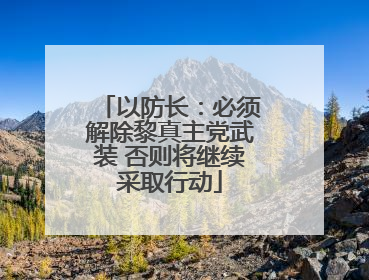 以防长：必须解除黎真主党武装 否则将继续采取行动