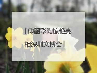 仰韶彩陶惊艳亮相深圳文博会