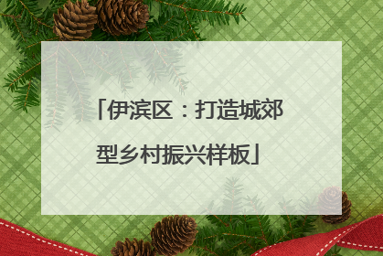 伊滨区：打造城郊型乡村振兴样板
