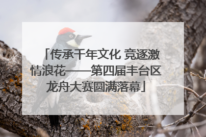 传承千年文化 竞逐激情浪花——第四届丰台区龙舟大赛圆满落幕