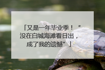 又是一年毕业季！“没在白城海滩看日出，成了我的遗憾”