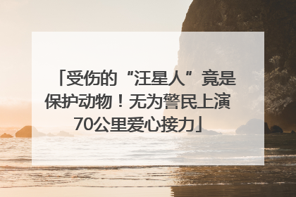 受伤的“汪星人”竟是保护动物！无为警民上演70公里爱心接力