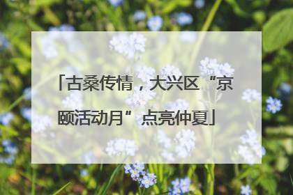 古桑传情，大兴区“京颐活动月”点亮仲夏