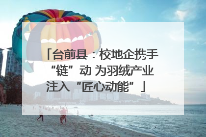 台前县：校地企携手“链”动 为羽绒产业注入“匠心动能”