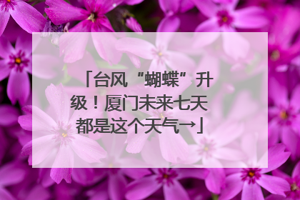 台风“蝴蝶”升级！厦门未来七天都是这个天气→
