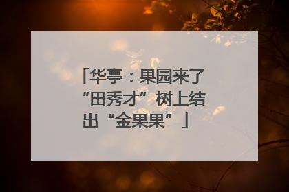 华亭：果园来了“田秀才”树上结出“金果果”